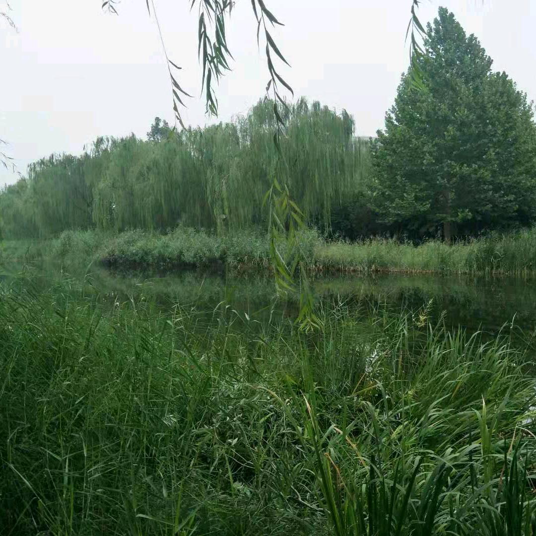 温馨