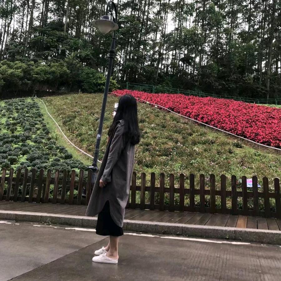 红玳鱼