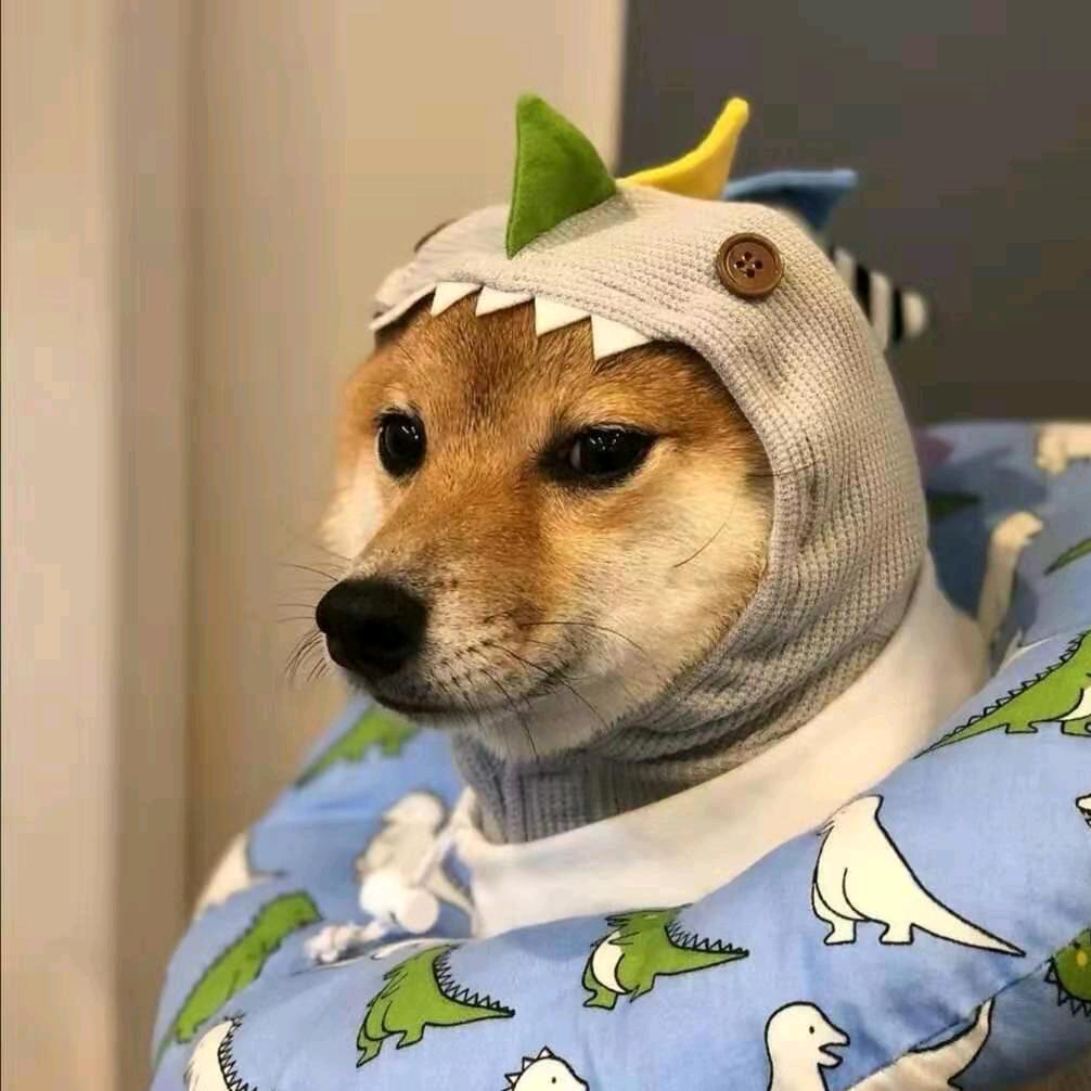 明白不明白