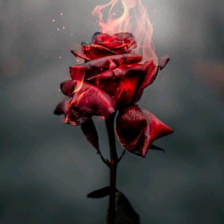 好人一生平安🌹