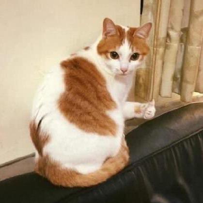 中中中中中中中中中中