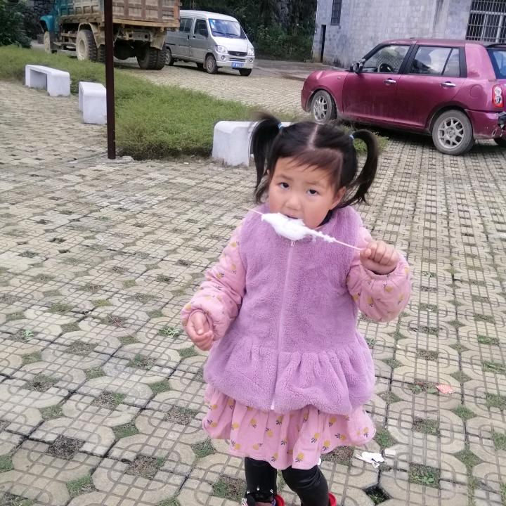 晨静