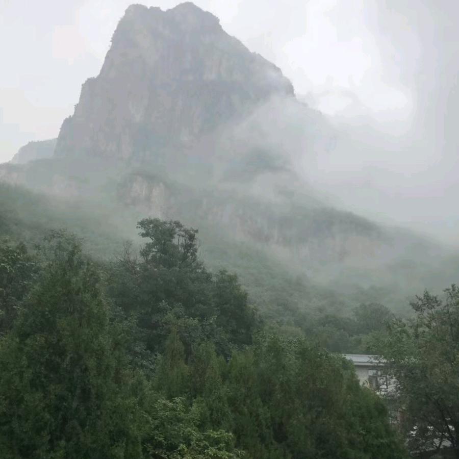 运城南洋迪克老原