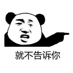 头铁不怕锤的锤哥