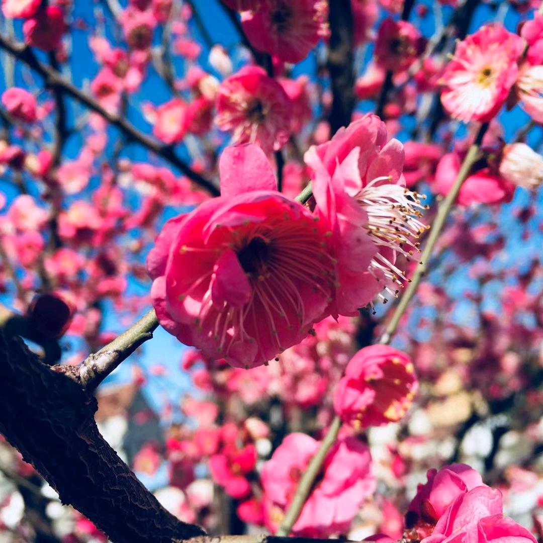 如果岁月可以回头