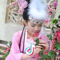 小阳爱花花