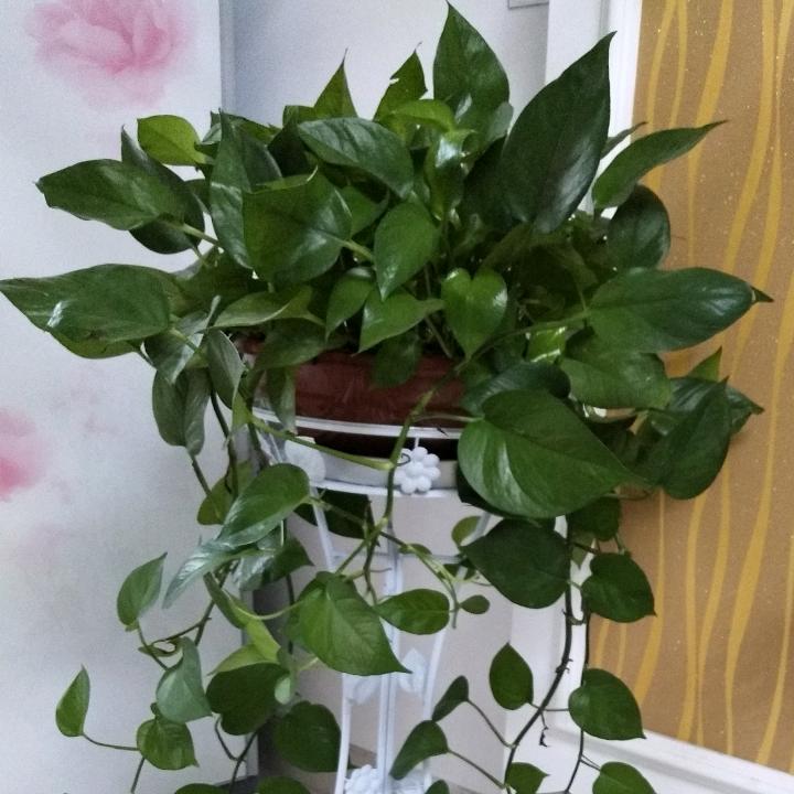 牵挂远方的你