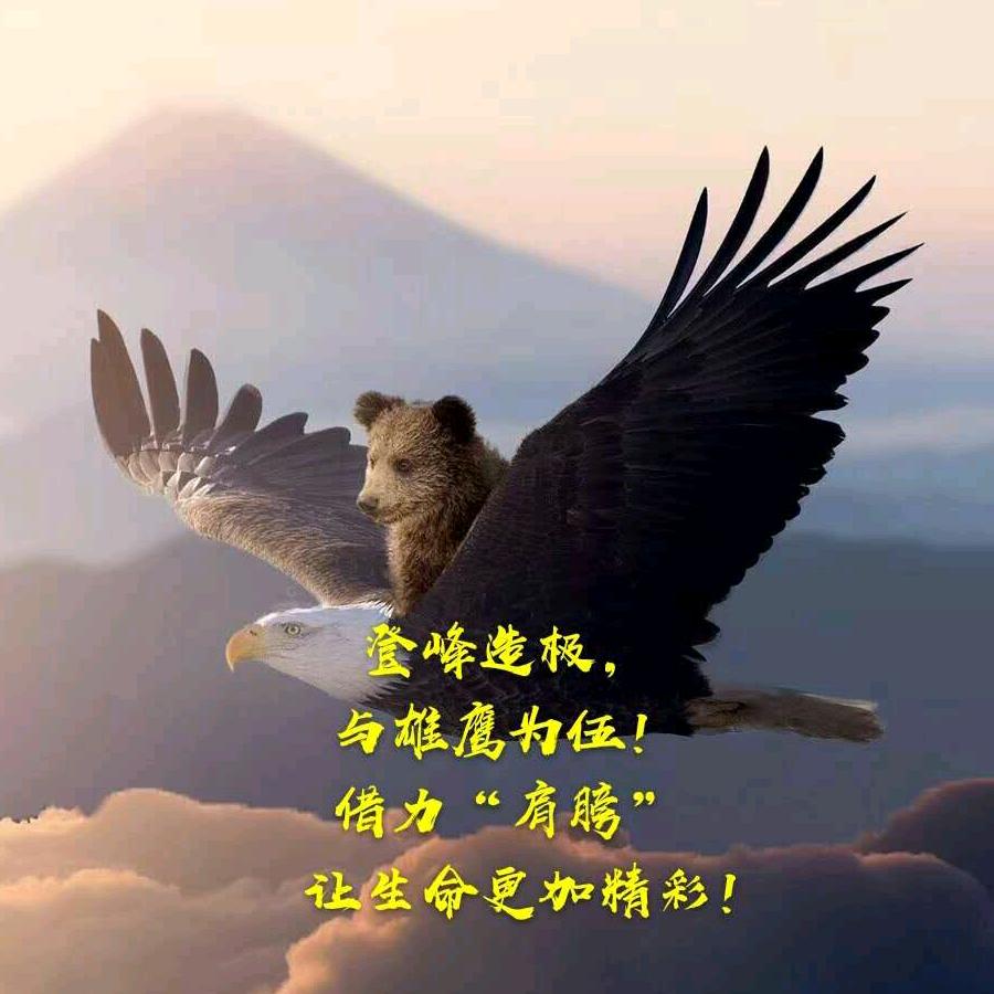 意大利高级纸立裁、奢侈品设计、企业内训