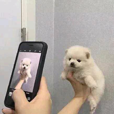 幸福在那(拒绝私聊）