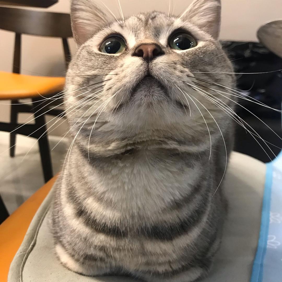 辉辉