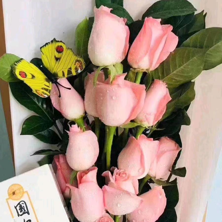 兰姐，🧡ྀི💛ྀི❤️ྀི