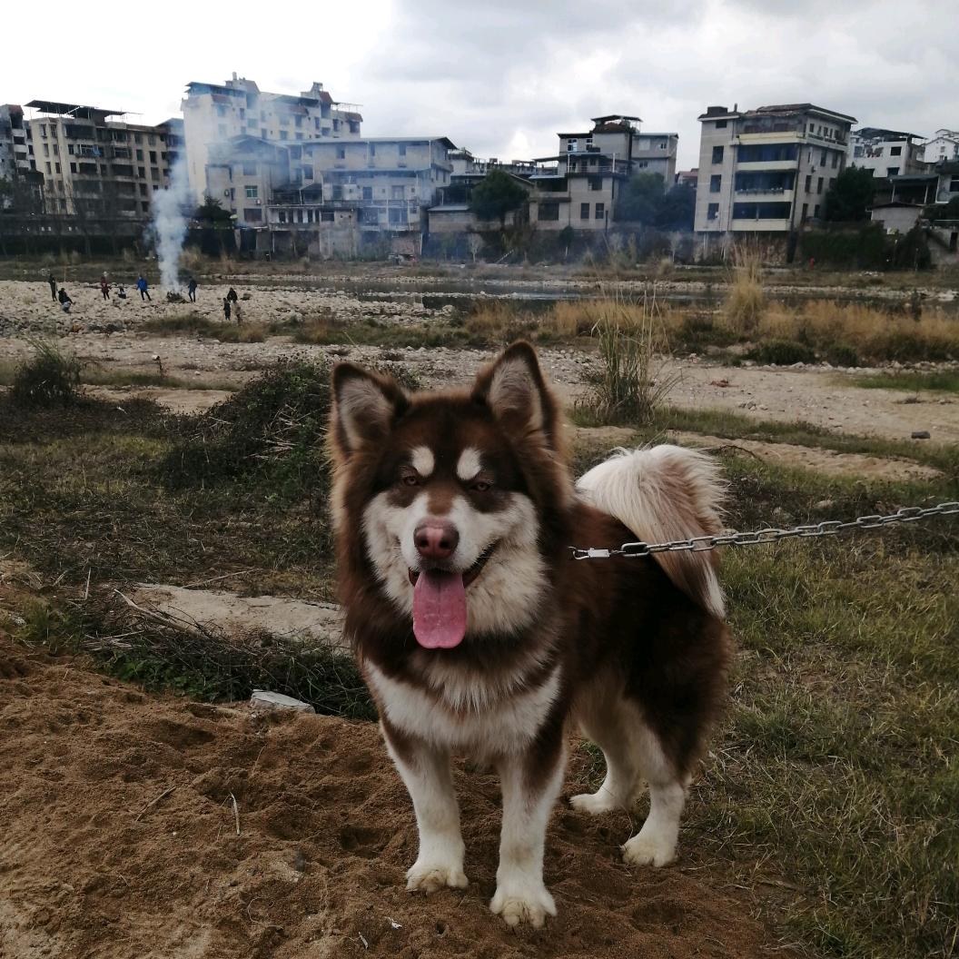 林淑仁～生活顾问