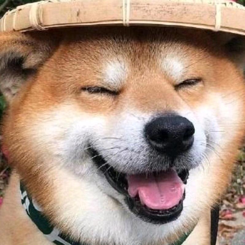 橘子皮