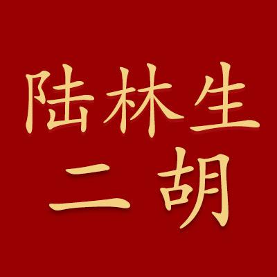 陆林生红晨扬乐器专卖店