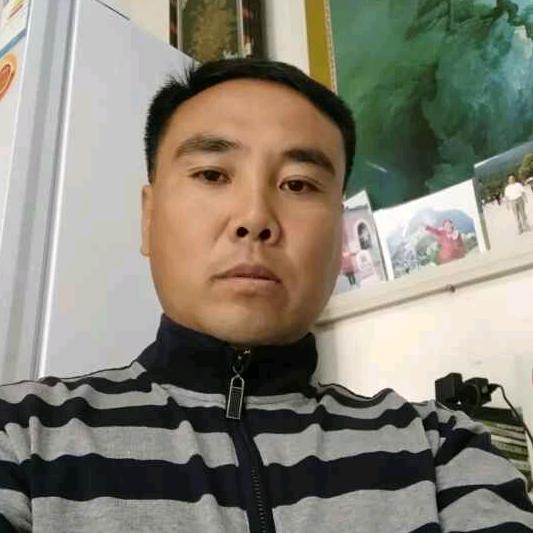 双杨孙甄选