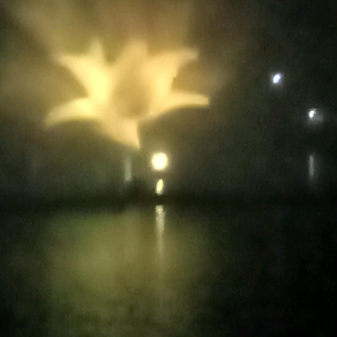 像花一样幸福