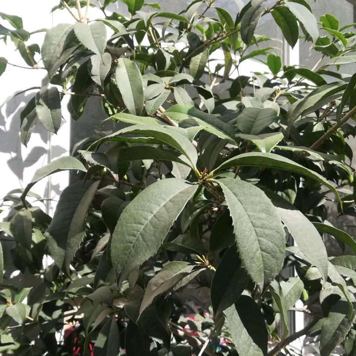 小鱼儿123🧗‍♂️