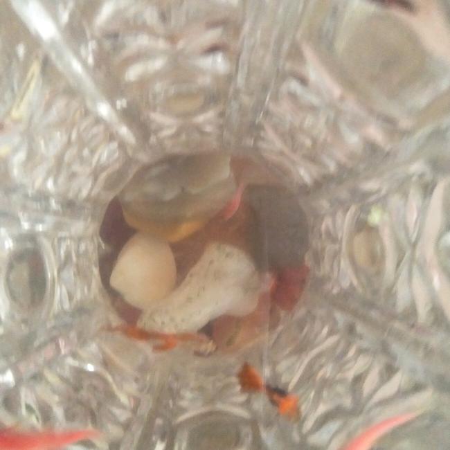 淡然的...抠脚大汉