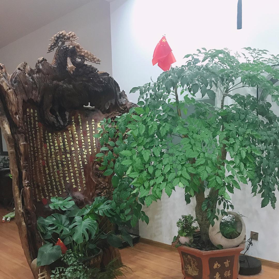 品浮沉.海参.燕窝.茶礼店