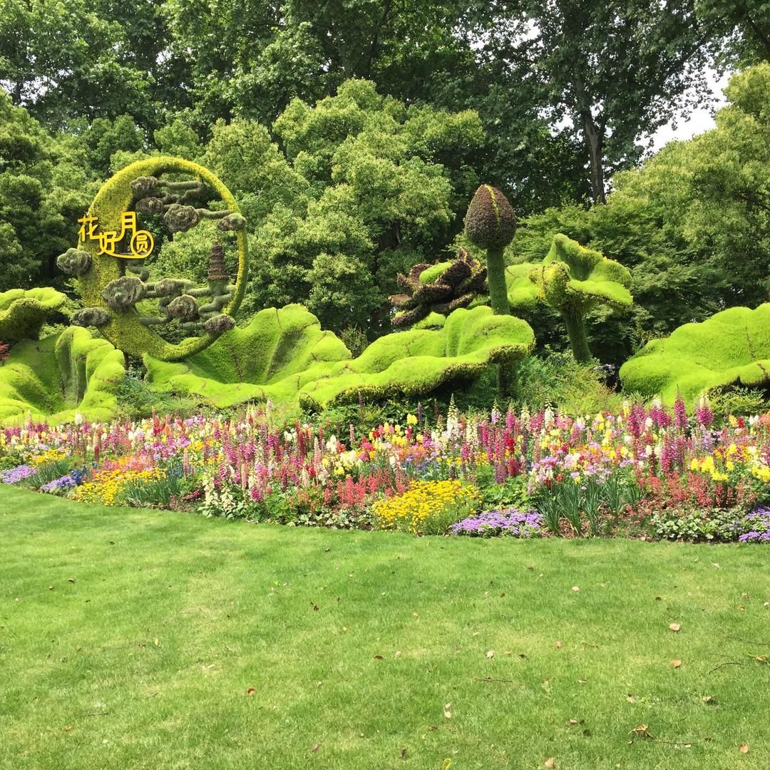涤除玄览