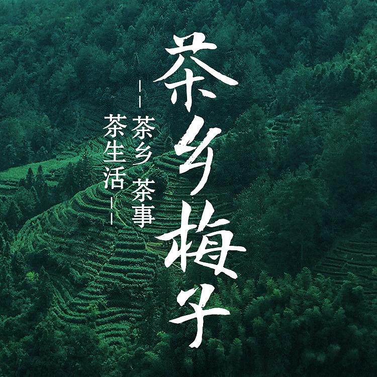 茶乡梅子