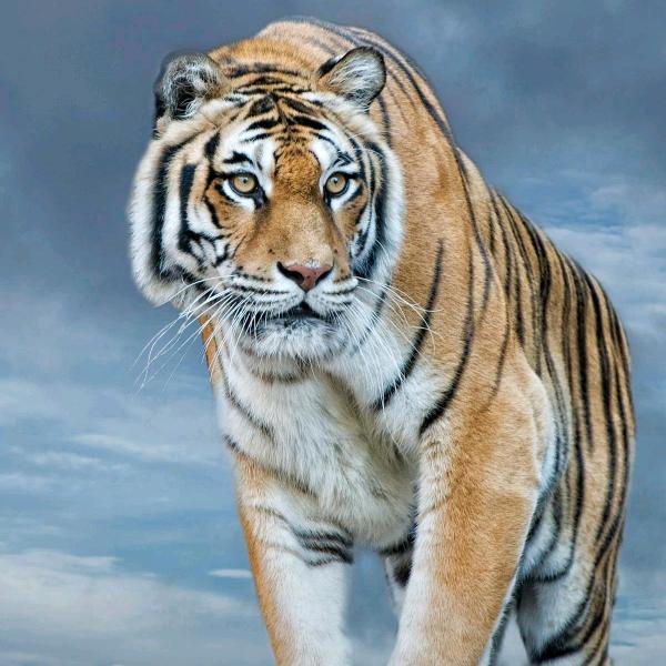 缝纫线线管制品厂