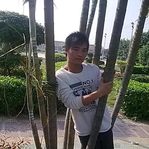 老司机。