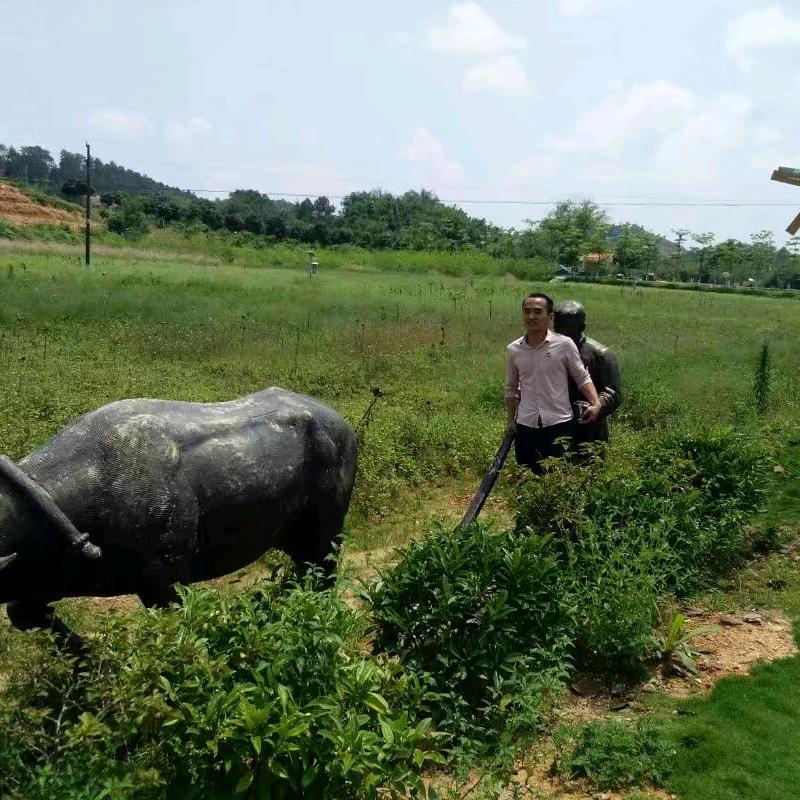 廖锦君-小锅纯米酒