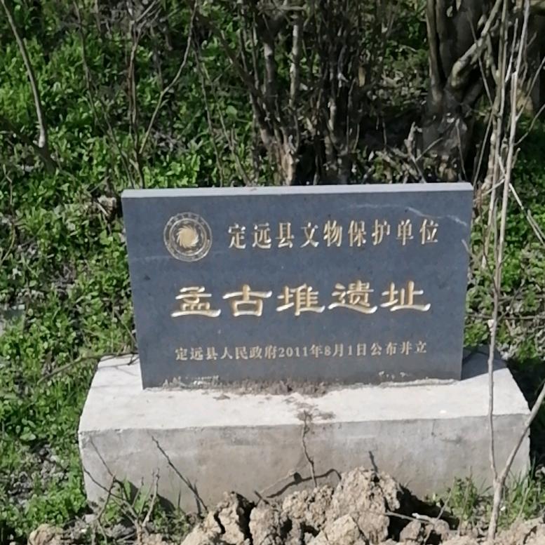 无雪的冬天。
