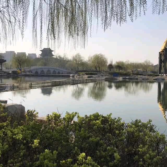 努力奋斗