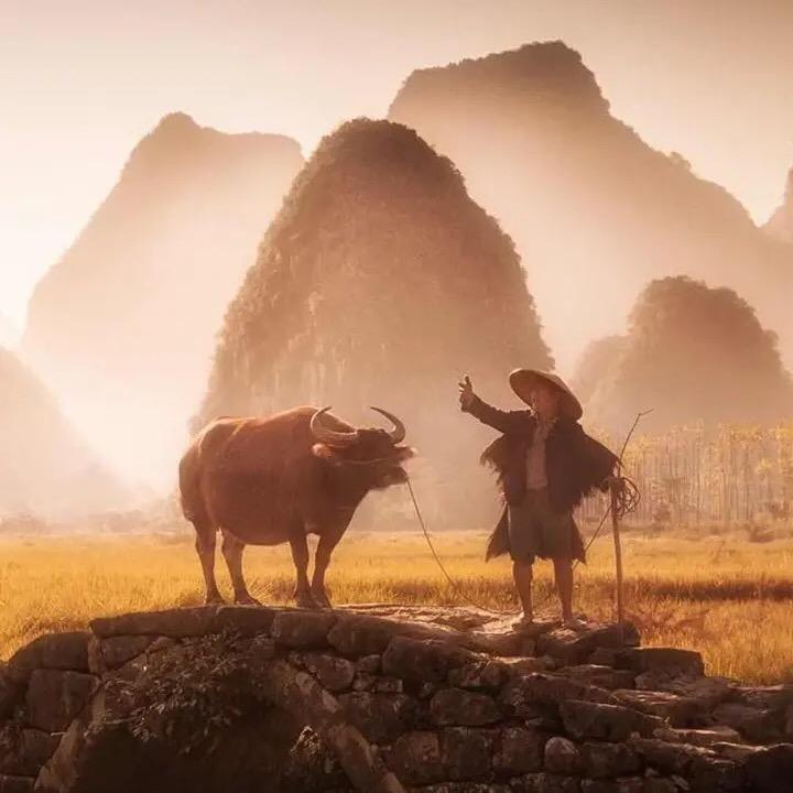 添添嘉懿