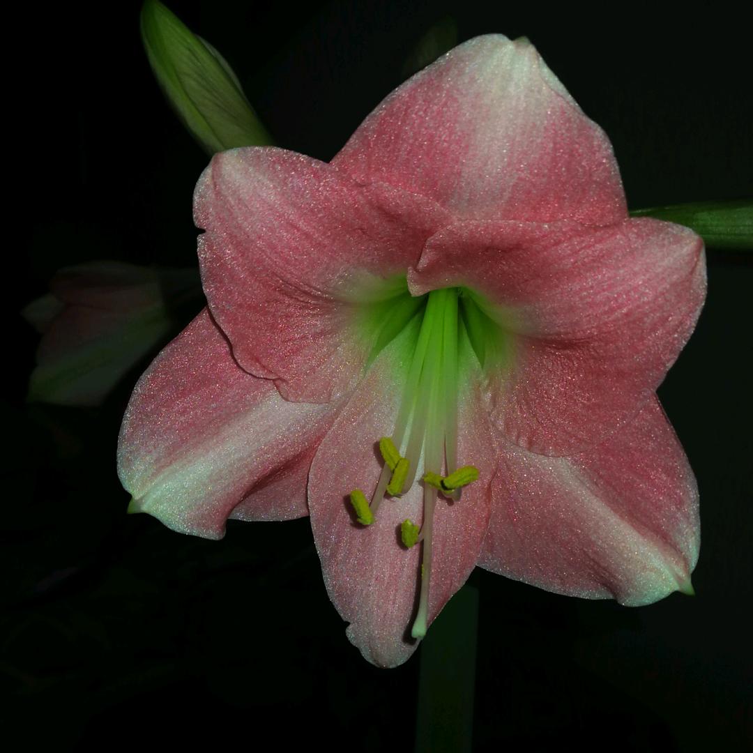 冬雨2008