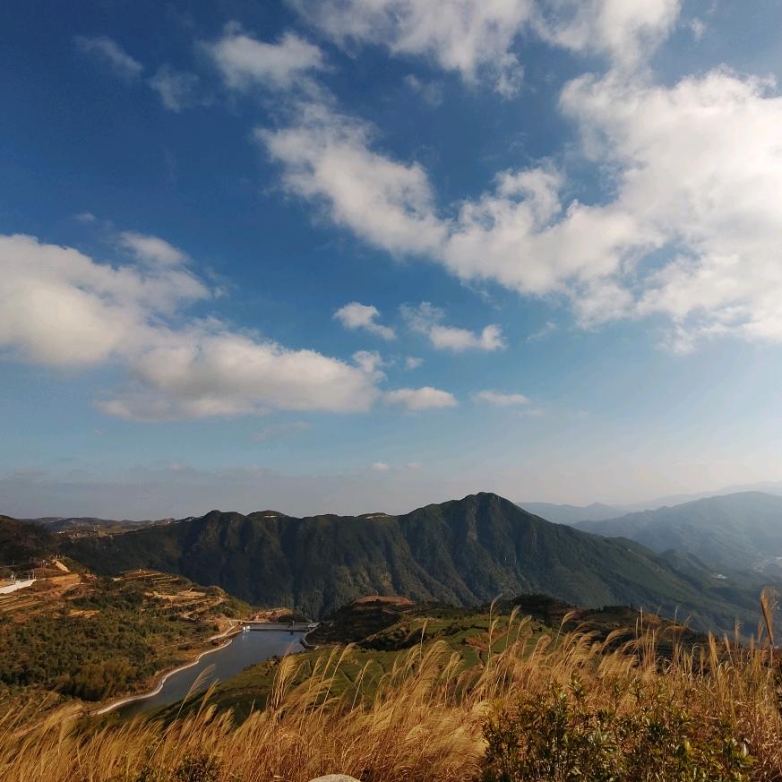黑黝黝