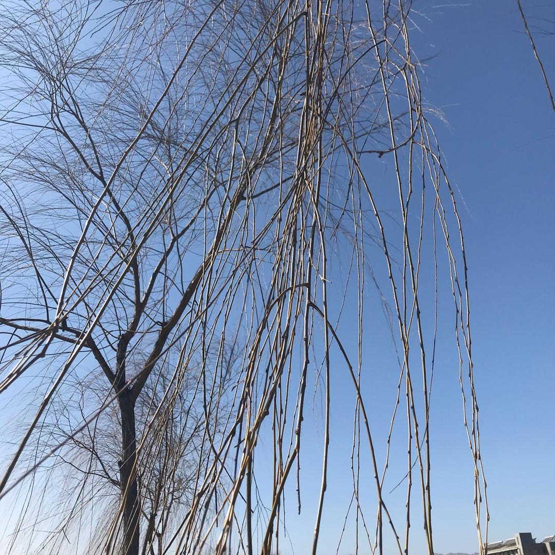 太阳2020