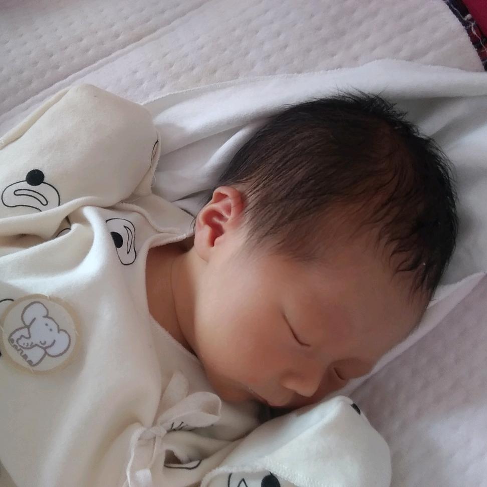 ꧄天涯赤子心ꦙ