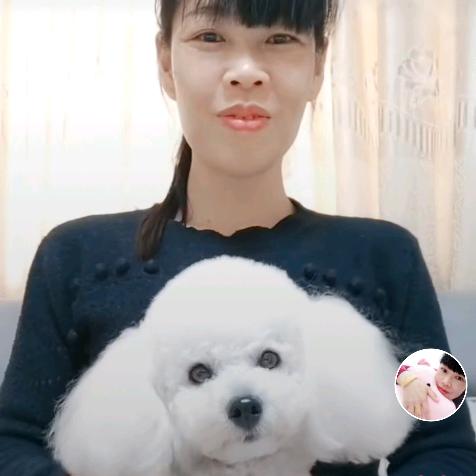 小猪猪