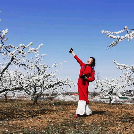 靖靖（不私聊）