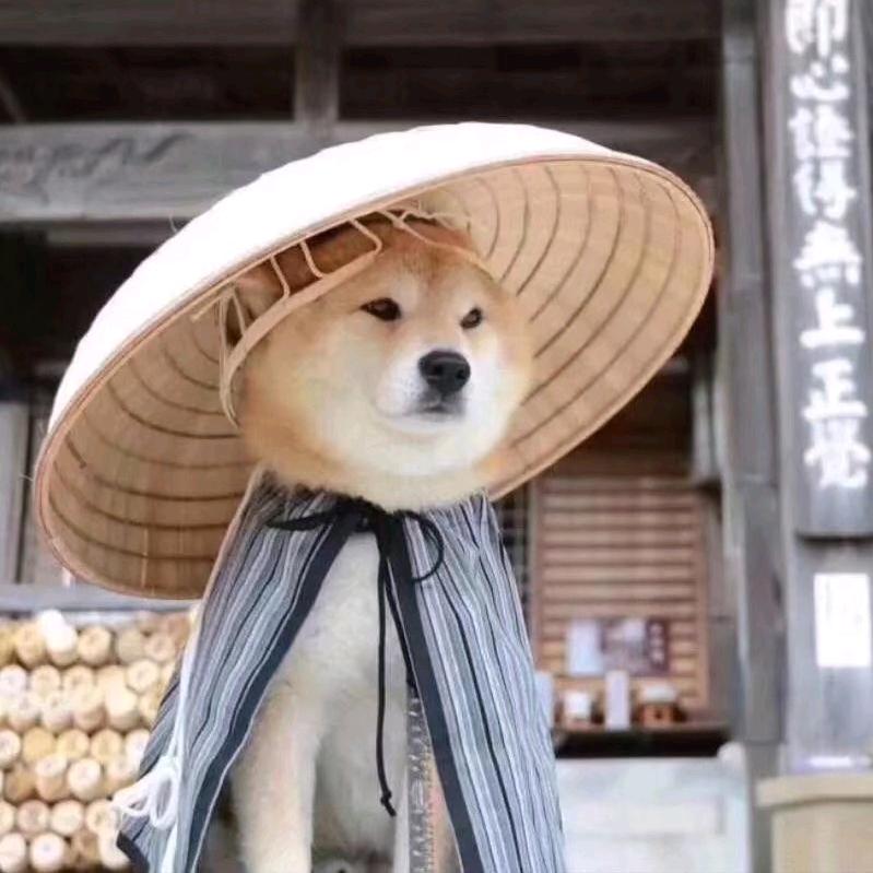 天之大