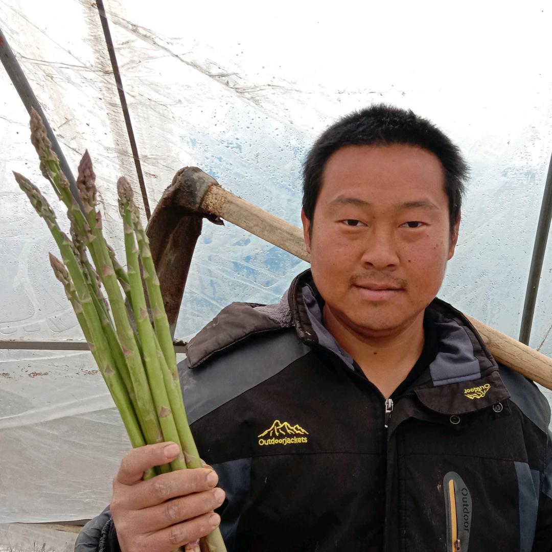 芦笋哥 大杨哥