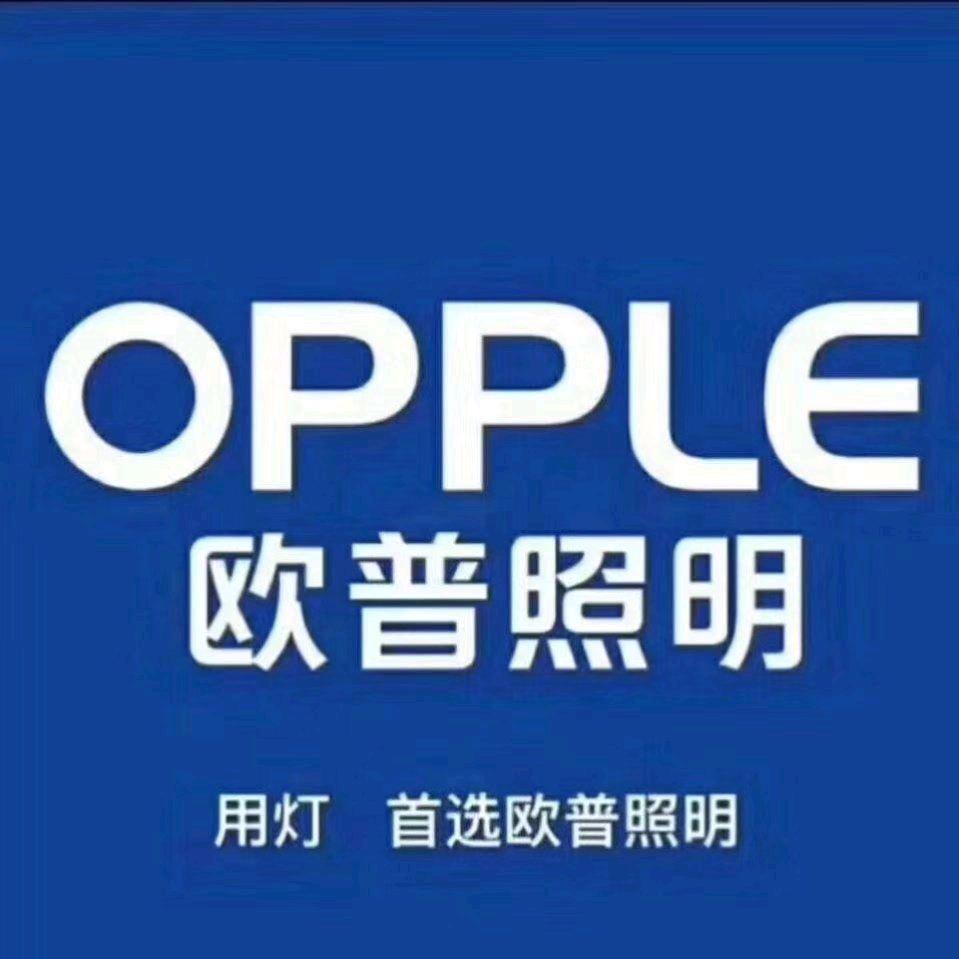 欧普照明  辉煌卫浴  A.O.史密斯