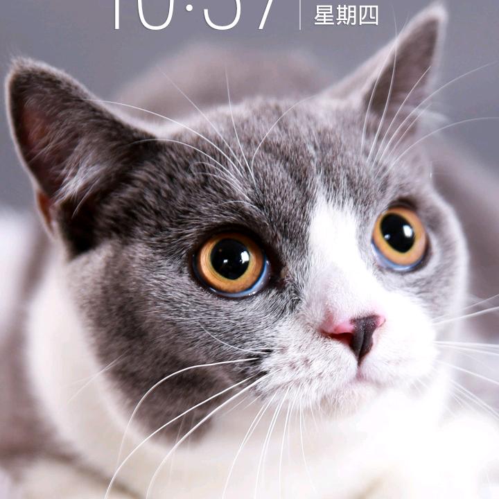 乐开心
