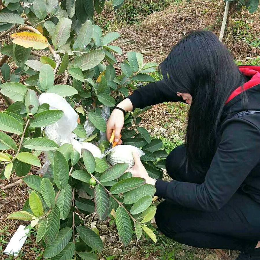 zheng一笑而过