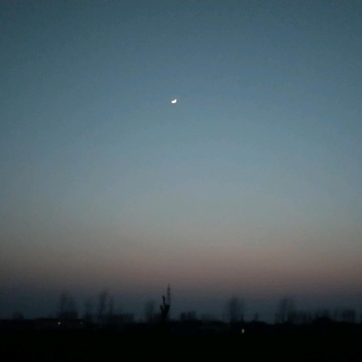 自作多情必自毙