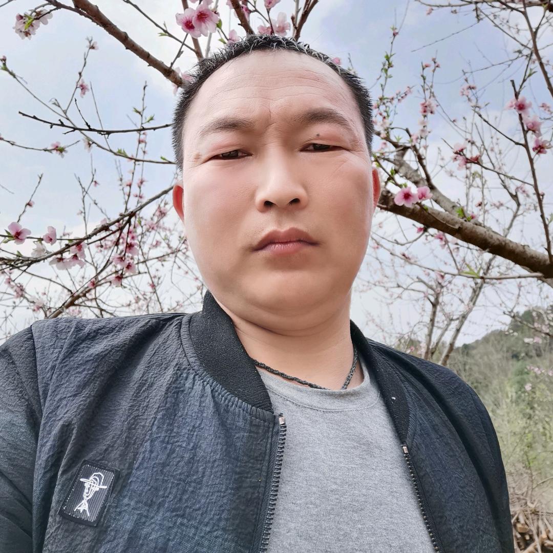 鸡哥—东江湖清江果园土鸡