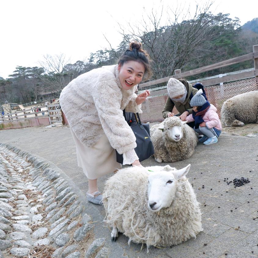 寄日当归