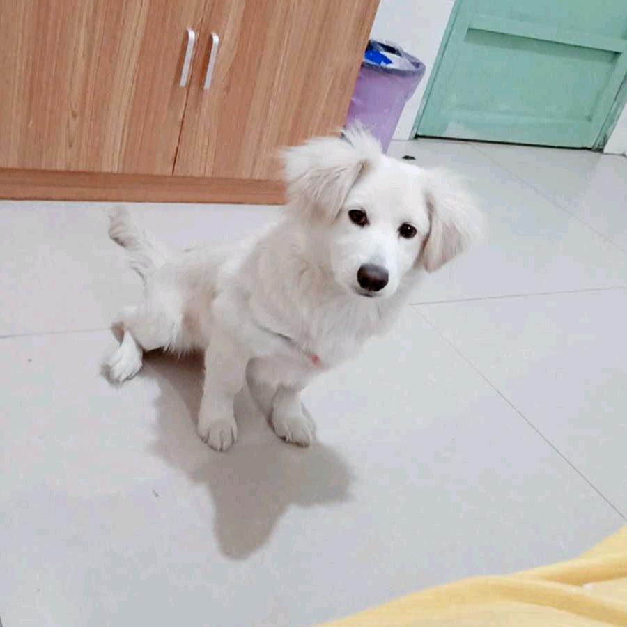 余生只为遇见你