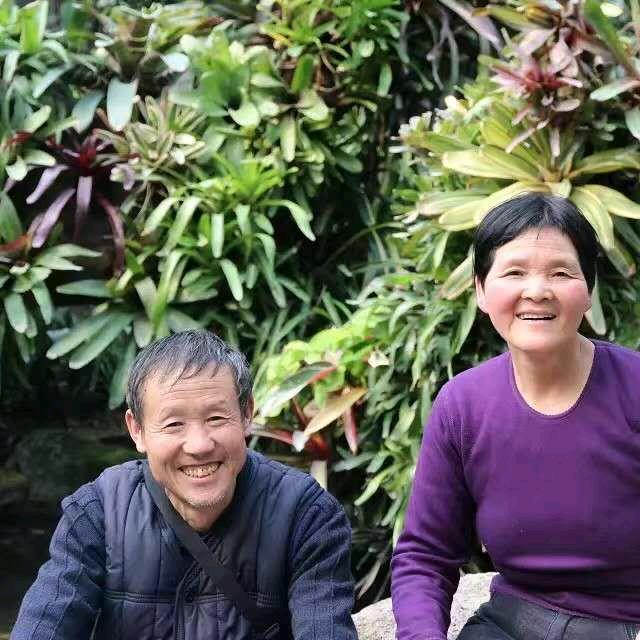 老陈