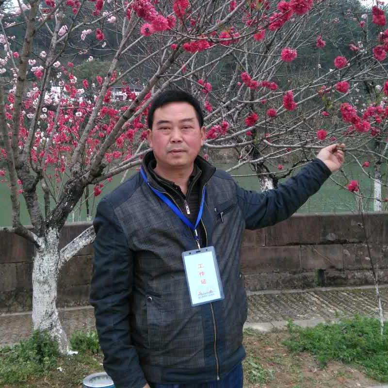 墨香一张云亮