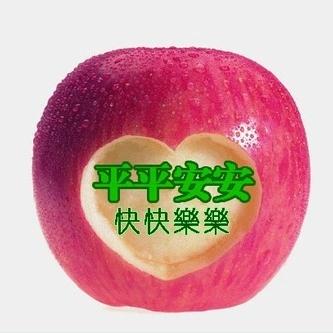 双喜迎梅