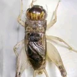 努力的小青年！